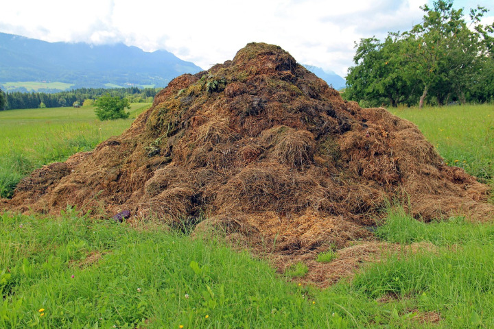 Waste Management & Biofertiliser - composting